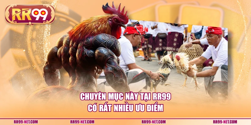 Chuyên mục này tại RR99 có rất nhiều ưu điểm