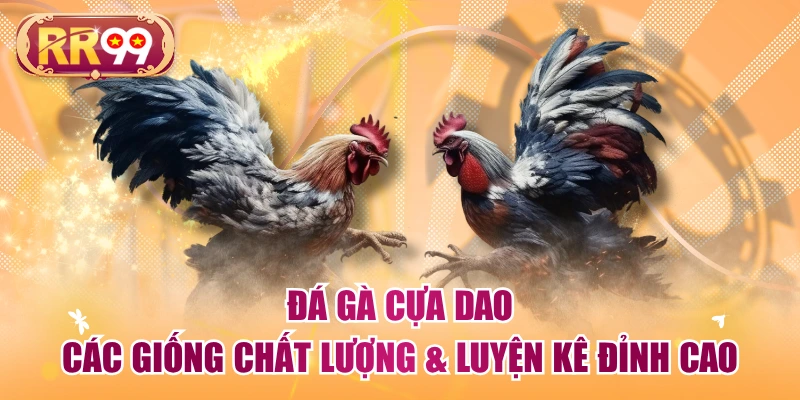 Đá Gà Cựa Dao