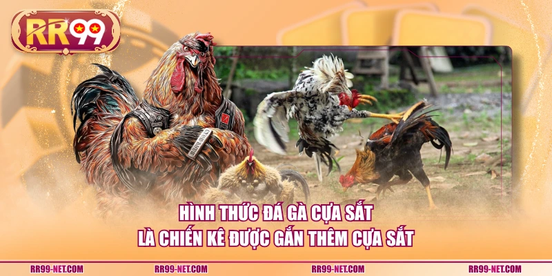 Hình thức đá gà cựa sắt là chiến kê được gắn thêm cựa sắt