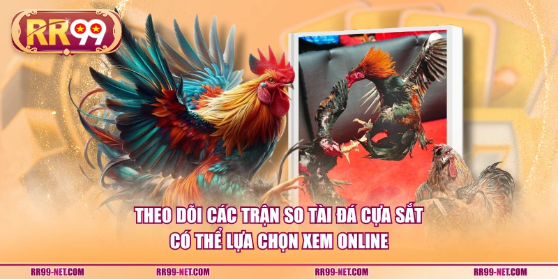 Theo dõi các trận so tài đá cựa sắt có thể lựa chọn xem online